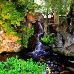 משאבות וציוד לבריכות נוי