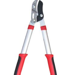 תבור - מספרי גיזום סדן - GB19